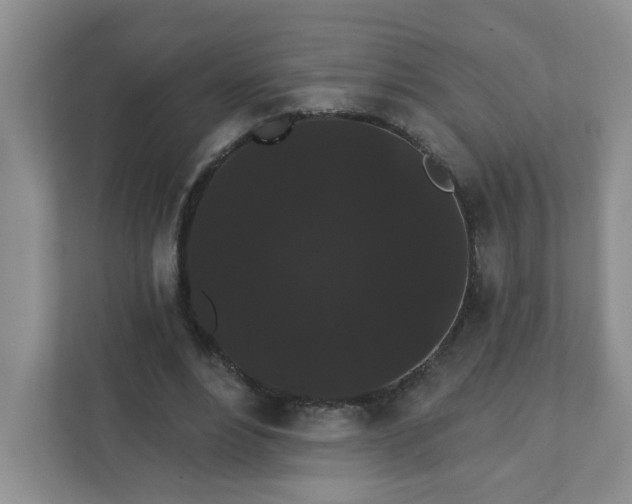 X0000111420488200907271146