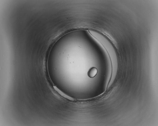 X0000111420489200907271146