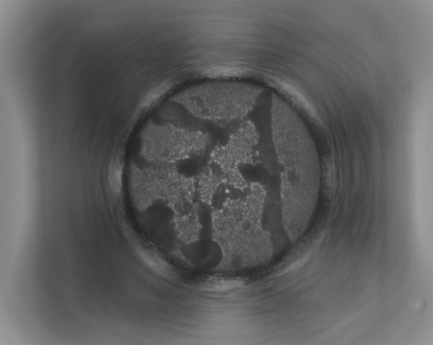 X0000111420491200907271146