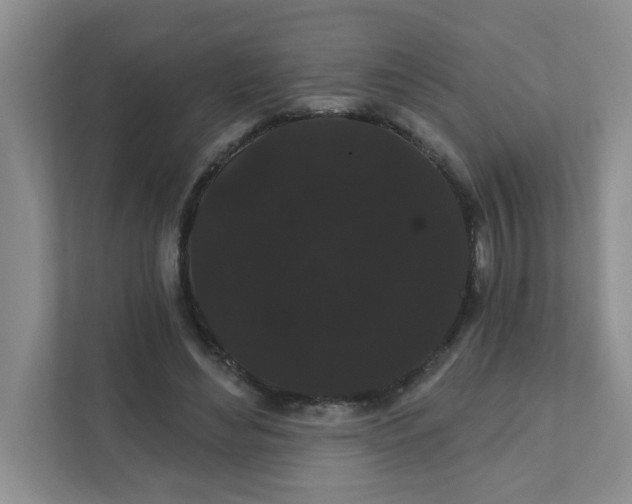 X0000111420492200907271146