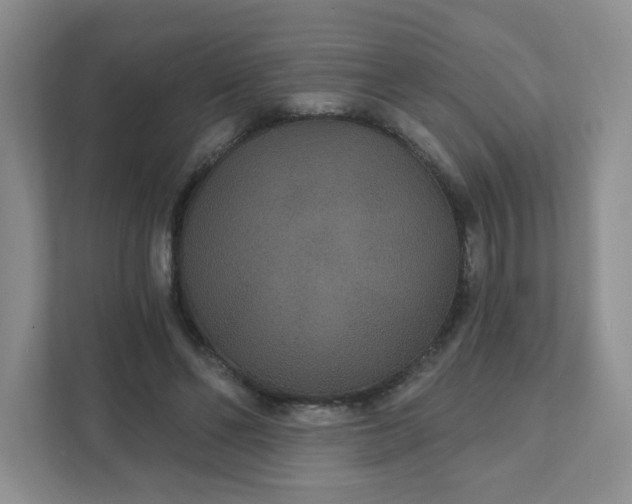 X0000111420494200907271146