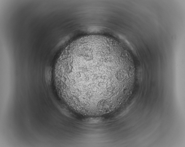 X0000111420495200907271146