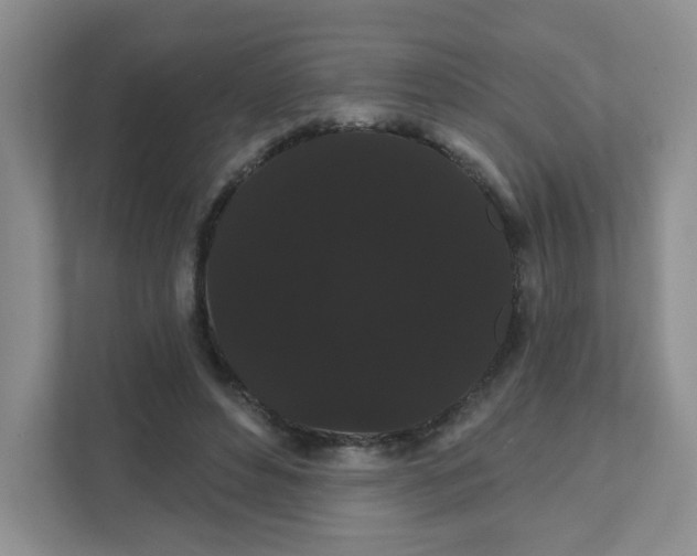 X0000111420496200907271146