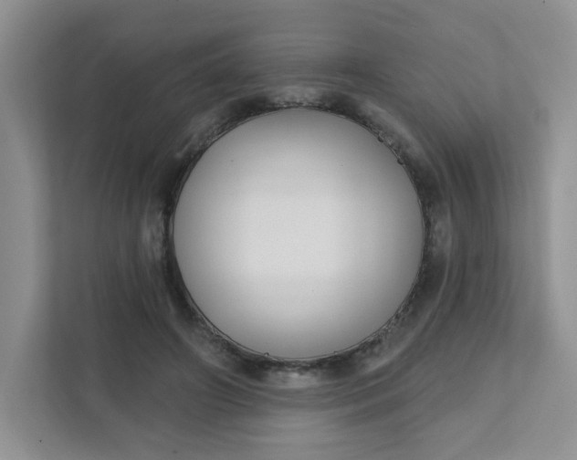 X0000111420498200907271146