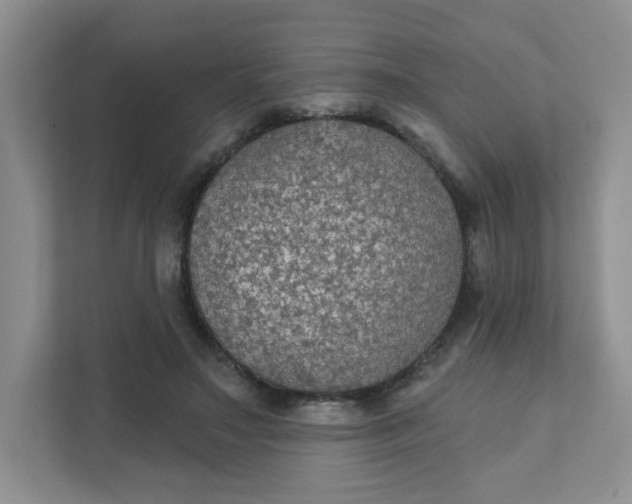 X0000111420499200907271146