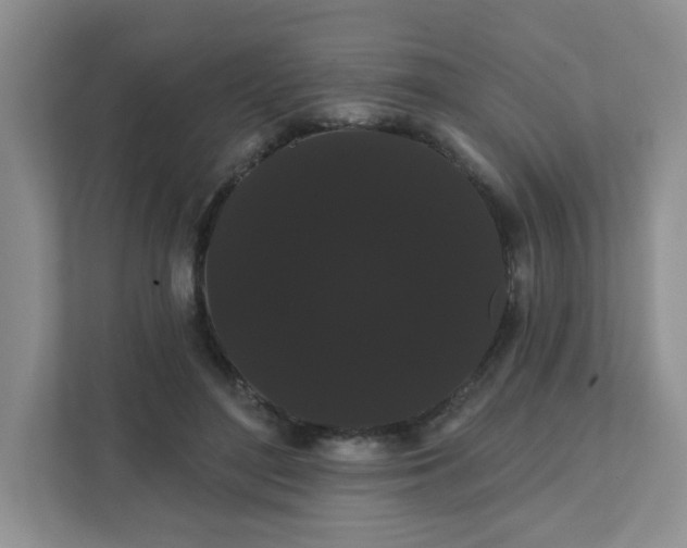 X0000111420500200907271146