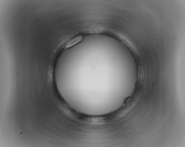 X0000111420501200907271146