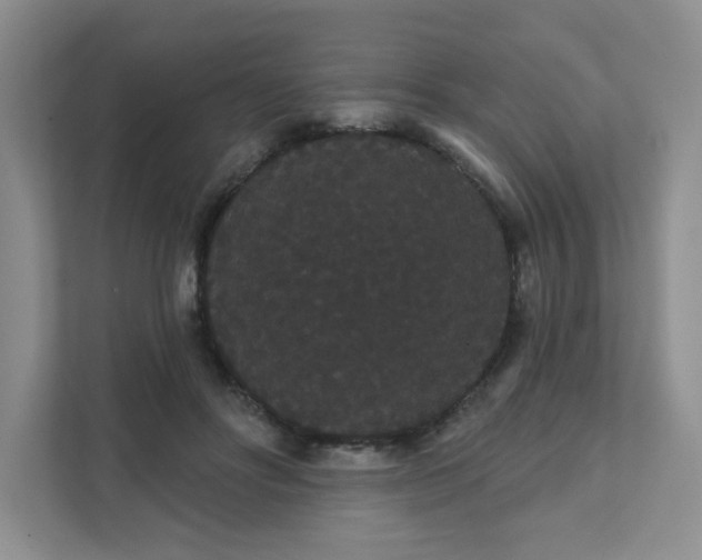 X0000111420502200907271146