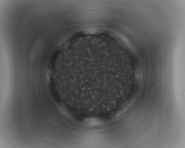 X0000111420503200907271146