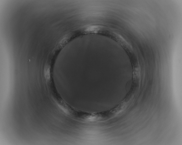 X0000111420504200907271146