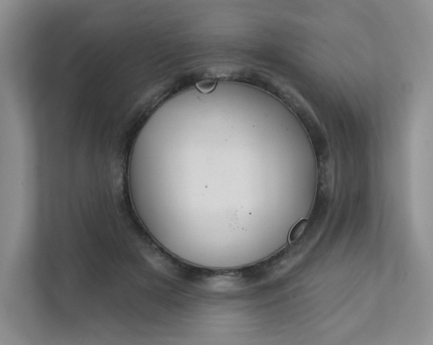 X0000111420505200907271146