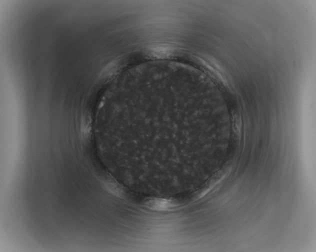 X0000111420507200907271146