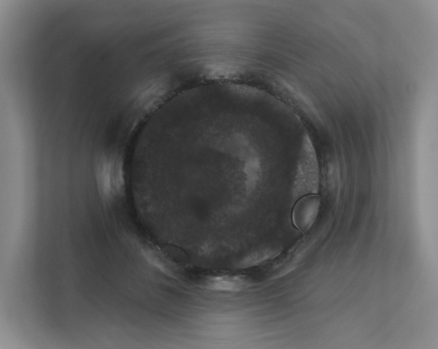 X0000111420508200907271146