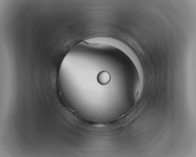 X0000111420509200907271146