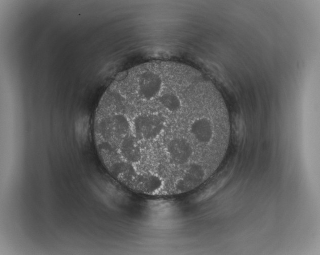 X0000111420511200907271146