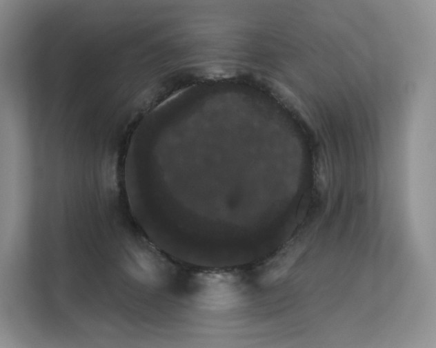 X0000111420512200907271146