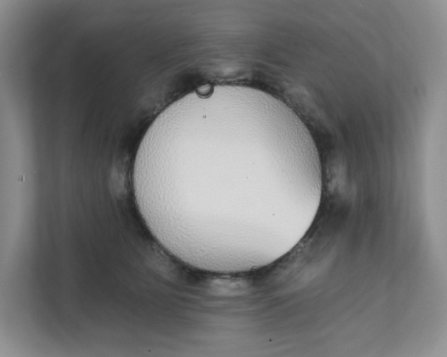 X0000111420515200907271146