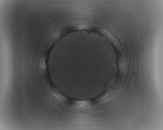 X0000111420516200907271146