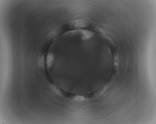 X0000111420519200907271146