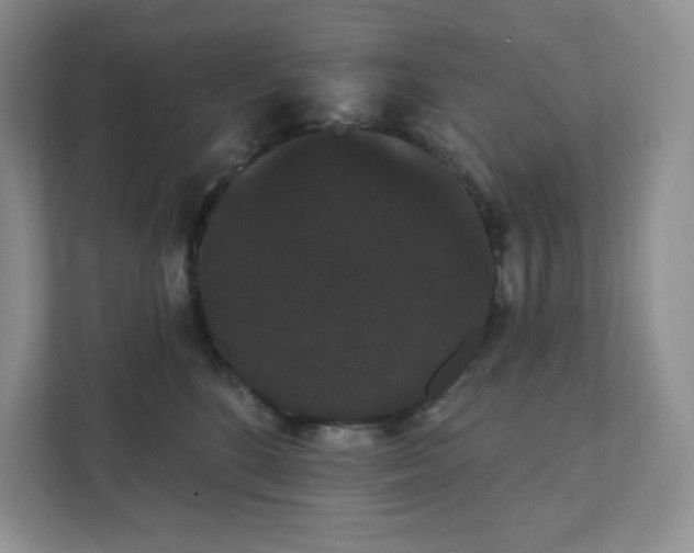 X0000111420520200907271146