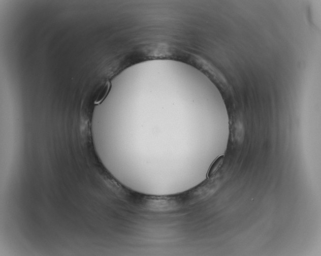 X0000111420521200907271146