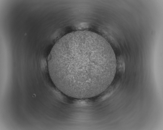 X0000111420523200907271146