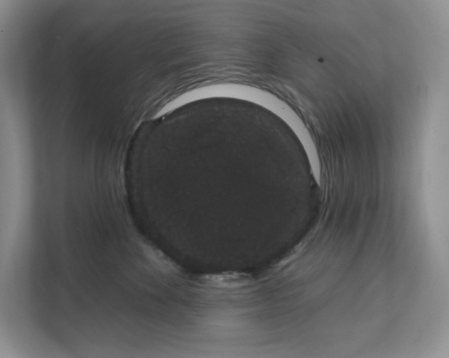 X0000111420524200907271146