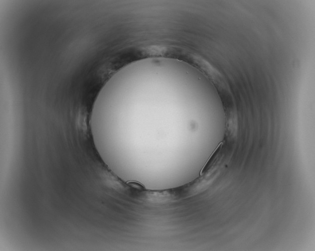 X0000111420525200907271146