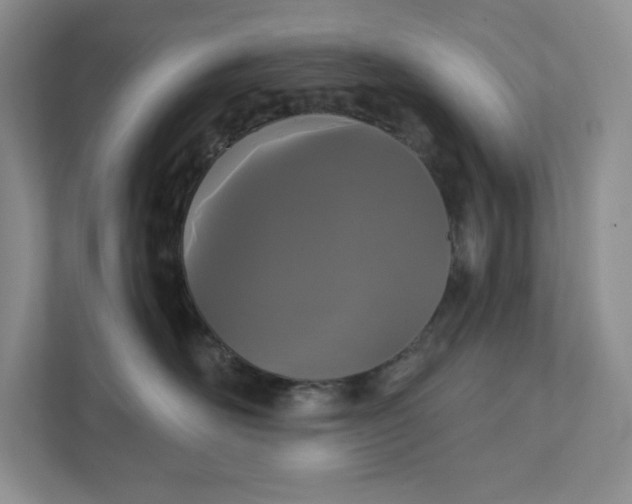 X0000111420526200907271146