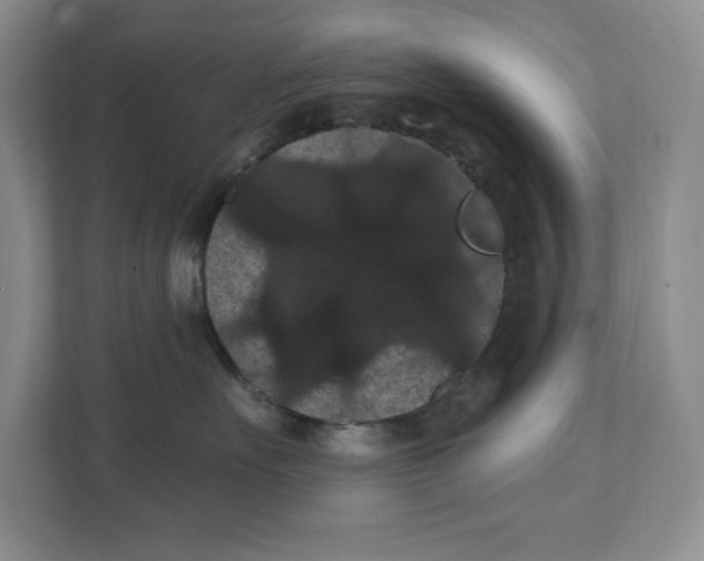 X0000111420527200907271146