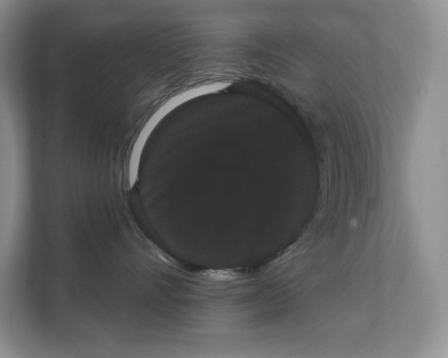 X0000111420528200907271146