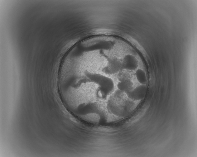 X0000111420529200907271145