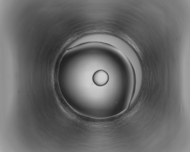 X0000111420530200907271145