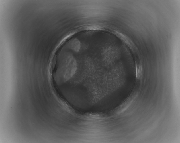 X0000111420531200907271145