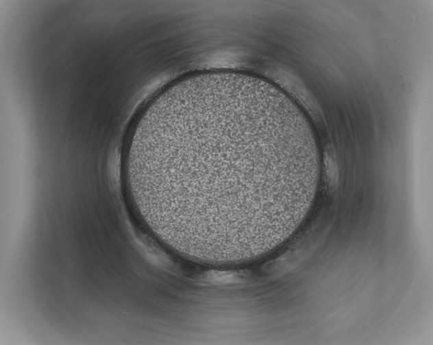 X0000111420534200907271145