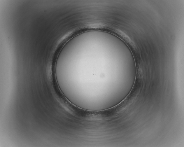 X0000111420535200907271145