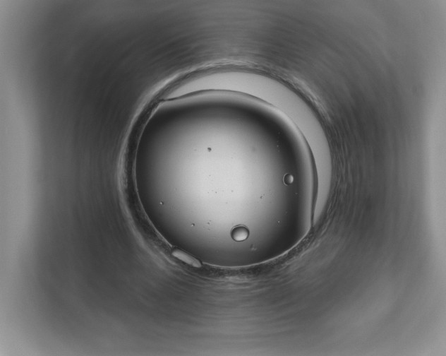 X0000111420536200907271145