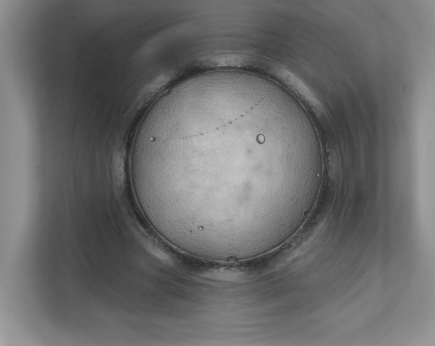 X0000111420537200907271145