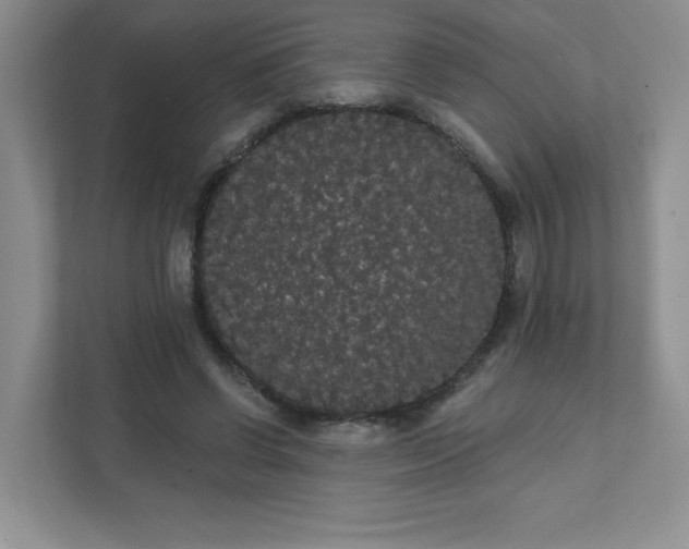 X0000111420542200907271145