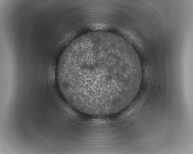 X0000111420545200907271145