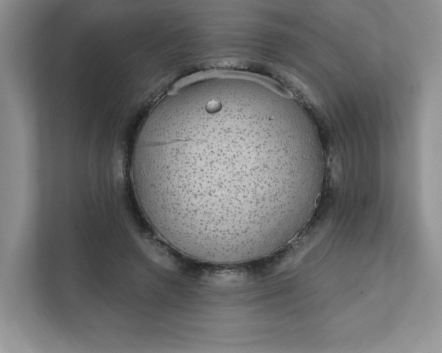 X0000111420546200907271145