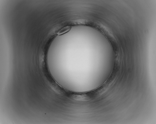 X0000111420548200907271145