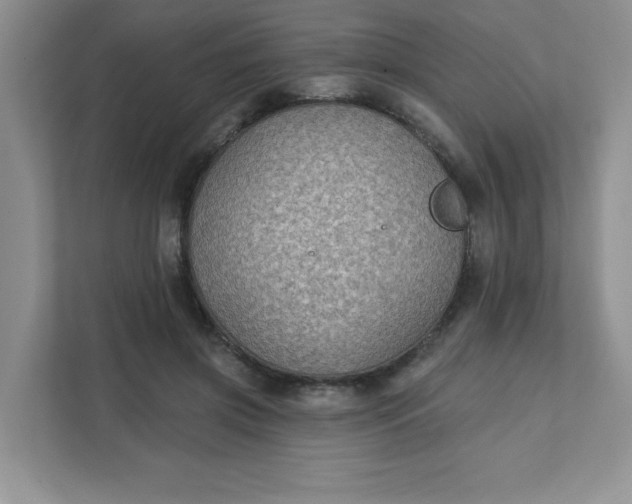 X0000111420549200907271145