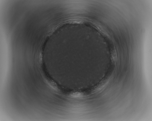 X0000111420551200907271145