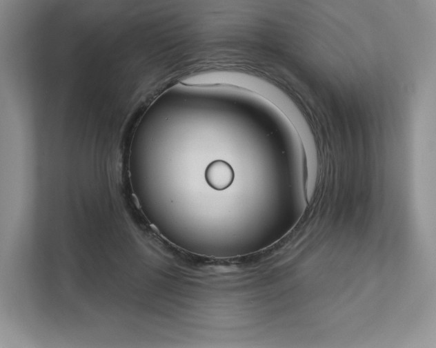 X0000111420552200907271145