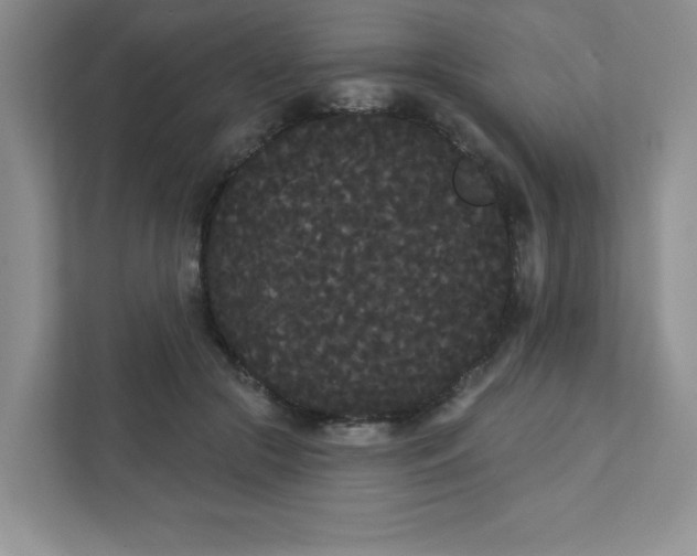 X0000111420553200907271145