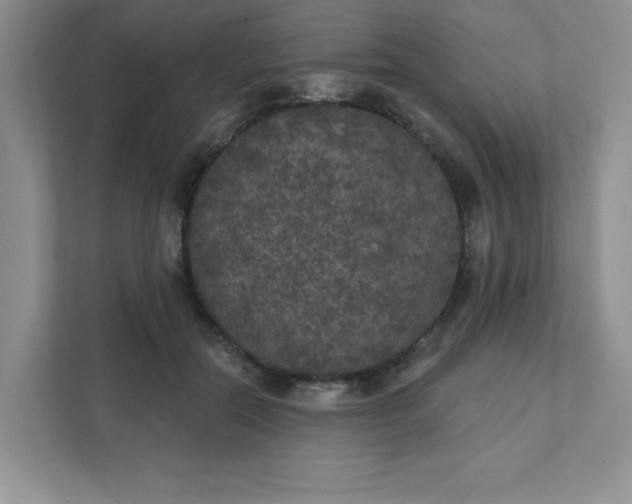 X0000111420554200907271145