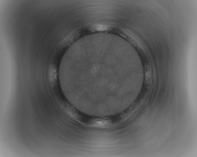 X0000111420555200907271145