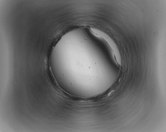 X0000111420556200907271145