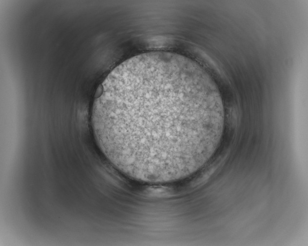 X0000111420557200907271145